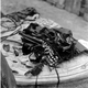 Illustration for article titled Vogue Model/Photographer/Muse Suspected Of Spying In Wartime